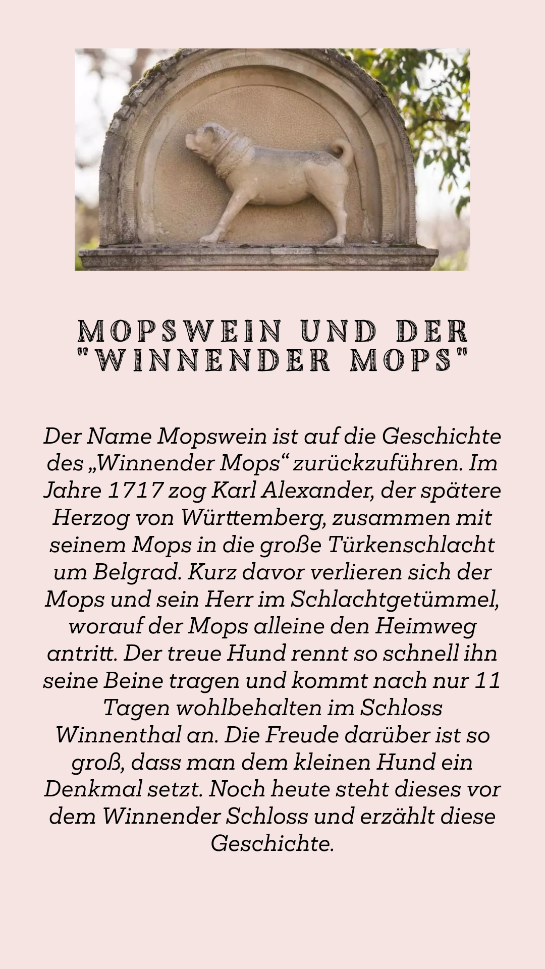 Mopswein - Rotweincuvée