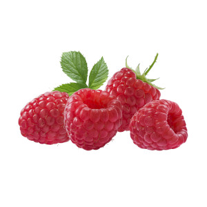 4 Himbeeren rot mit grünem Stängel